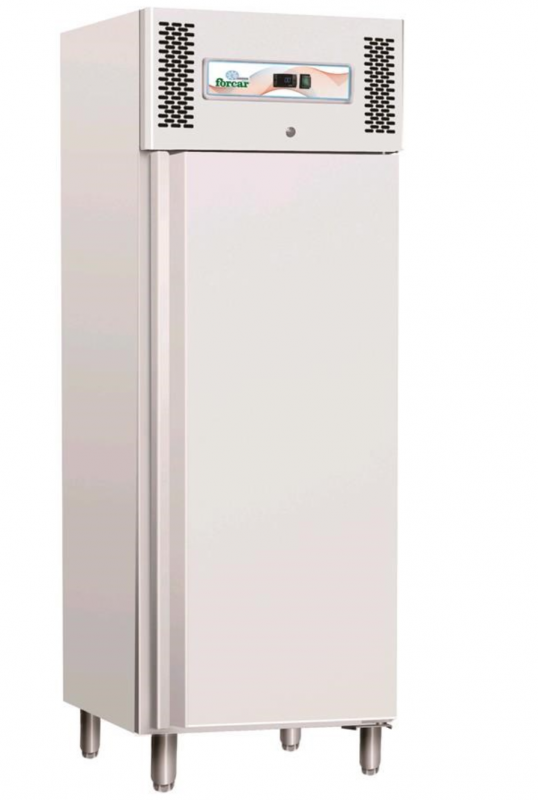 Congelatore verticale professionale AFP/GNB600BT