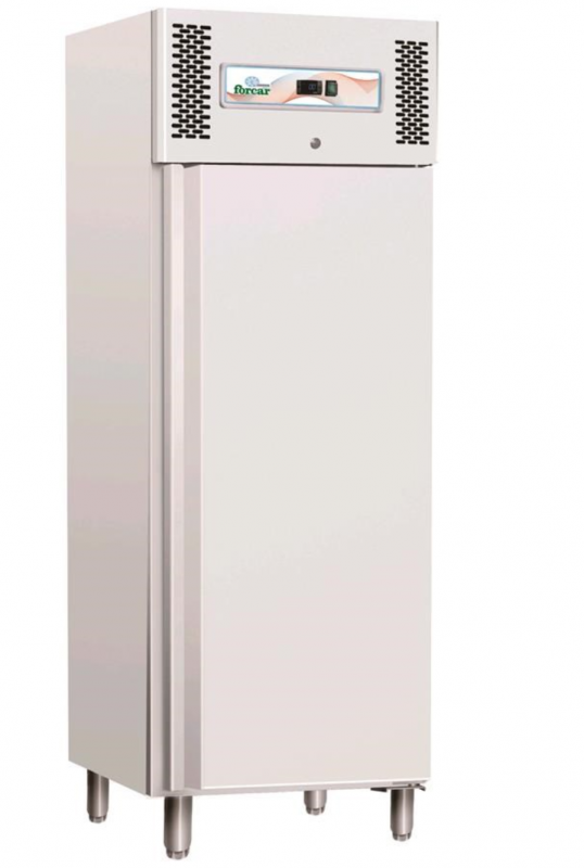 Professional vertical freezer AFP / GNB600BT